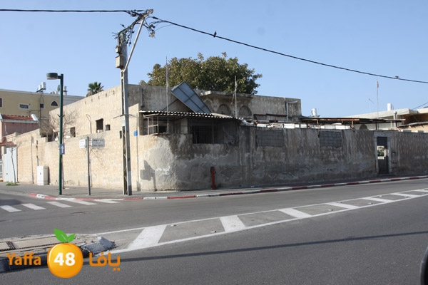 ard yefet 176 (2).JPG